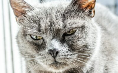 3 rzeczy, których nienawidzę w pracy zdalnego copywritera